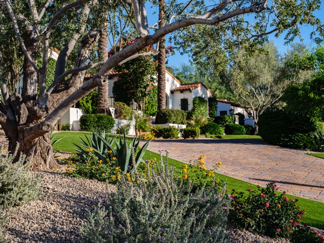 Guest Driveway