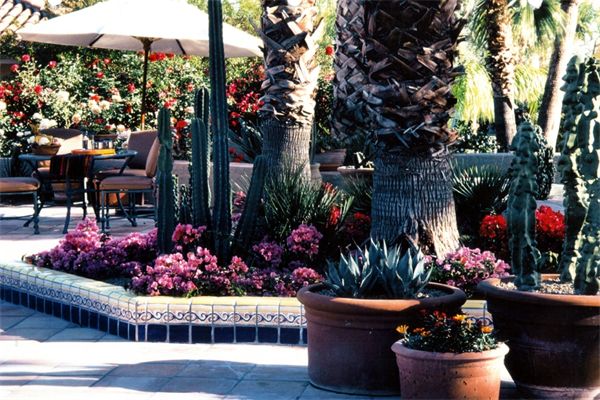 Courtyards of Mexico