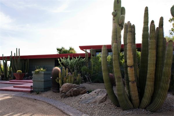 Frank Lloyd Wright-Inspired Garden