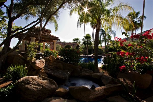 Dramatic Oasis