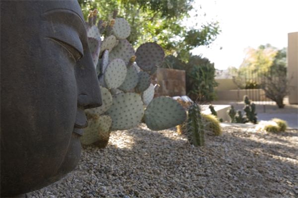 Zen Retreat in the Desert