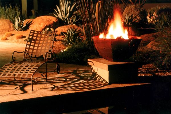 Contemporary Garden